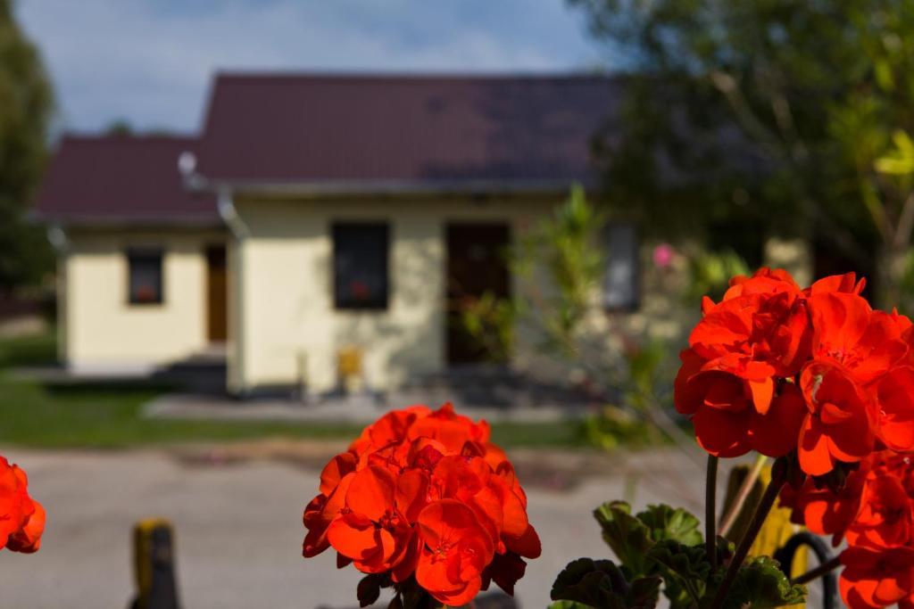 Balaton Eldorado Camping Hotel Badacsonytördemic Exterior foto